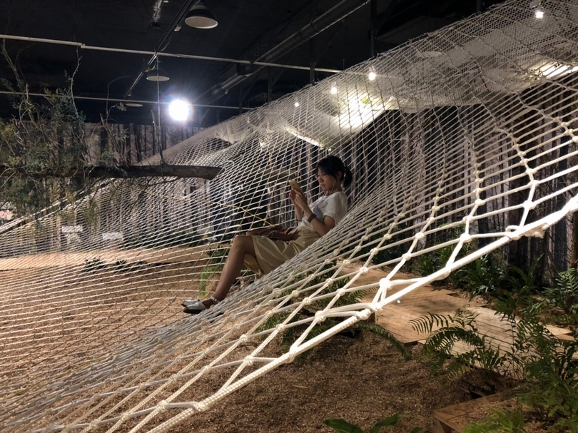 【小典藏｜愛看展】森體感：走進森林「森」呼吸！