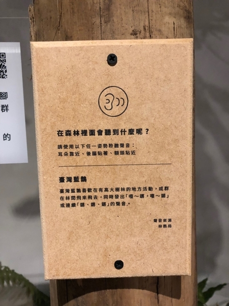 【小典藏｜愛看展】森體感：走進森林「森」呼吸！