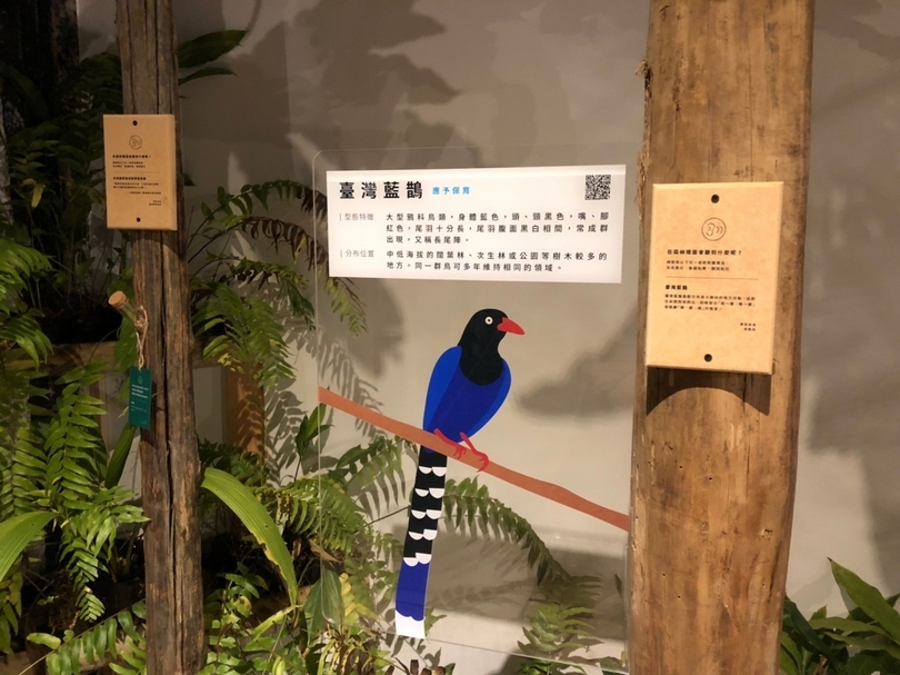 【小典藏｜愛看展】森體感：走進森林「森」呼吸！