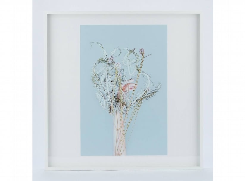 代謝 Metabolism 留榮鋒攝影個展