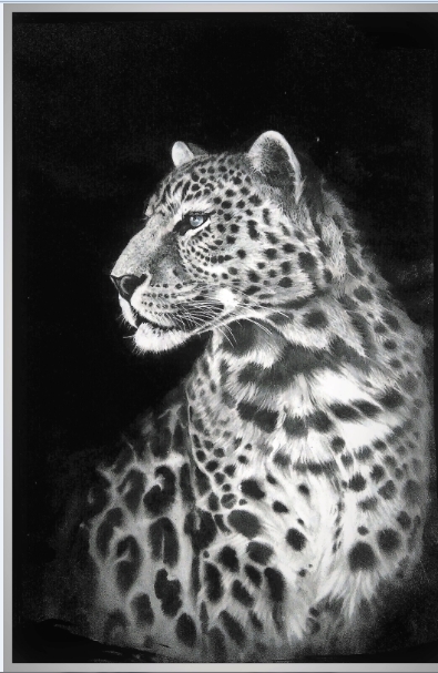 The leopard
