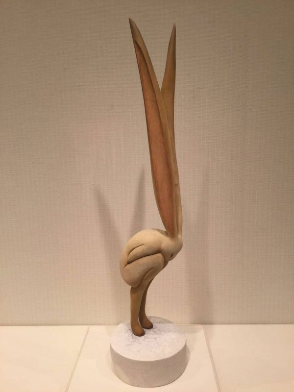 黎明前，兔