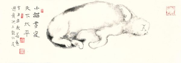 小貓晝寢