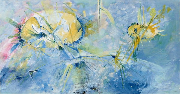 The Jellyfish