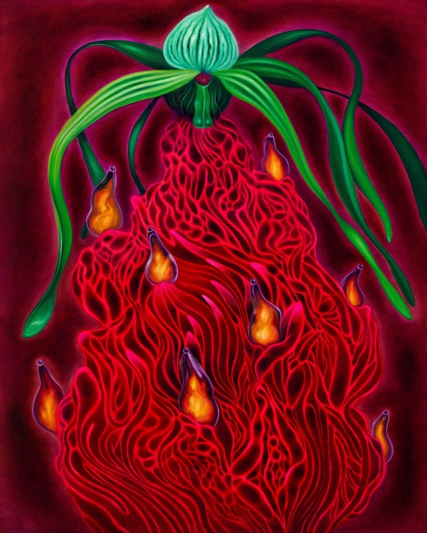 Christmas Star