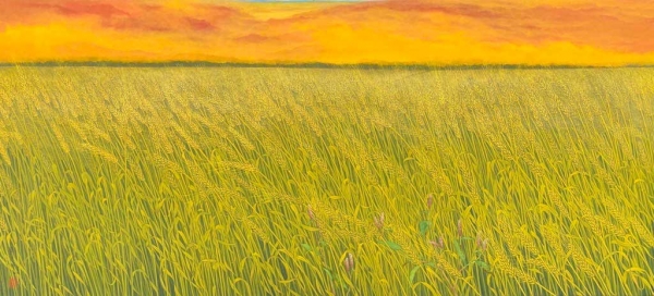 Ripened Wheat