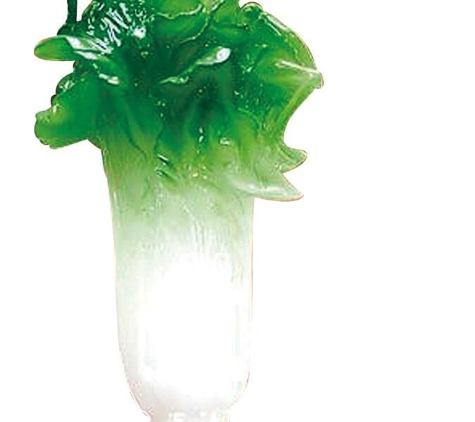 翠玉白菜是最受歡迎的文物明星，也衍生出不少文創商品。攝影／黃志勳。