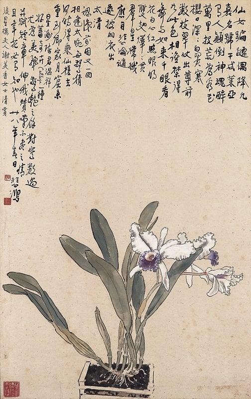 徐悲鴻〈胡姬花〉，86.5×54.5厘米，以逾預估低標近七倍之成交價1,746萬港元，居近現代書畫第三高價。