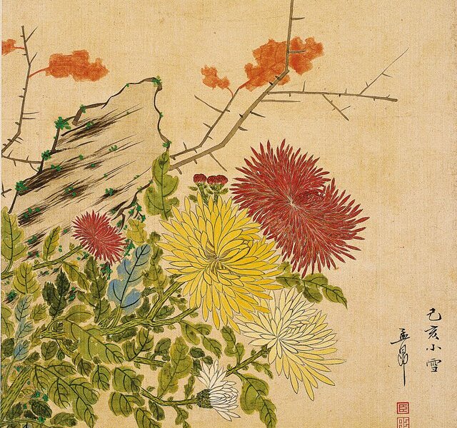 清末．袁世彤〈花卉冊頁〉，12開，各32×25.5厘米。左為12開之「牡丹」，右為「菊」。