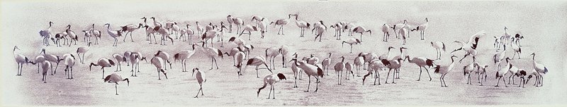 郎靜山1990年〈百鶴圖〉，85×480厘米。