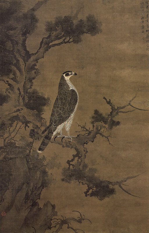 元代雪界翁畫鷹、張舜咨畫檜的〈鷹〉,北京故宮藏。