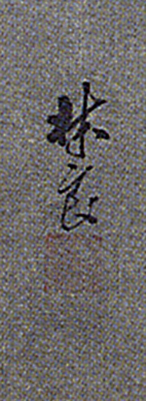 鳥不朦朧,確定是蕭海山 9