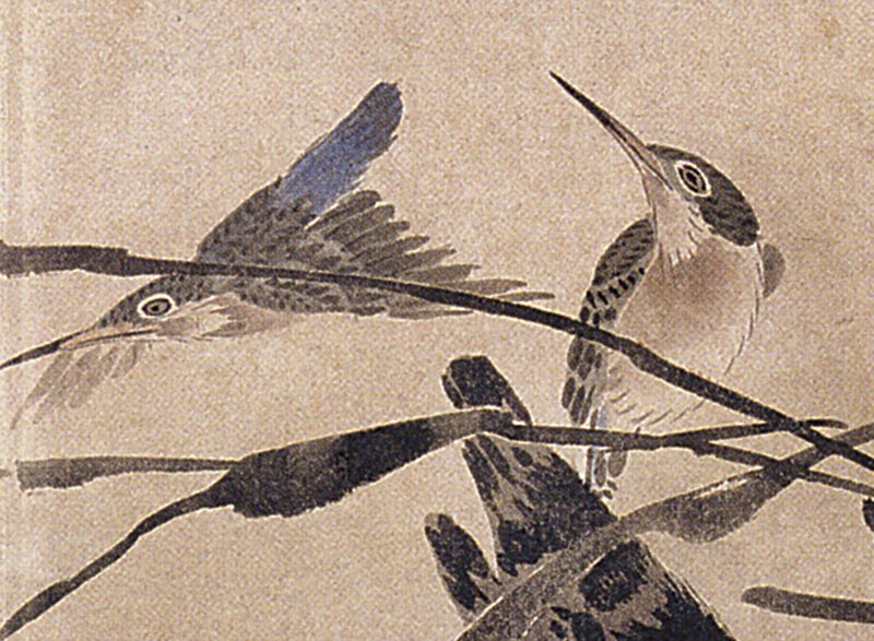明代林良〈灌木集禽圖卷〉類似的鳥禽,北京故宮藏。