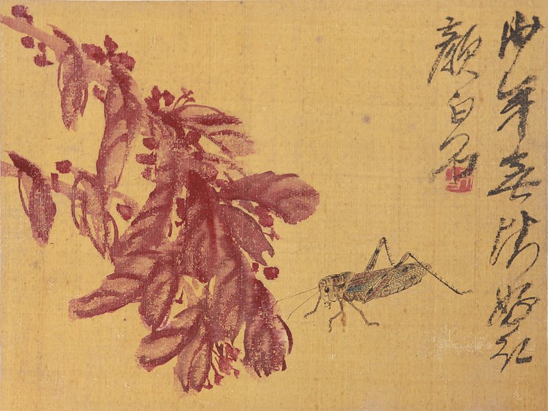 齊白石〈花卉草蟲冊〉。