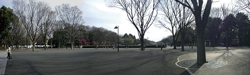 上野公園。圖／取材自維基百科。