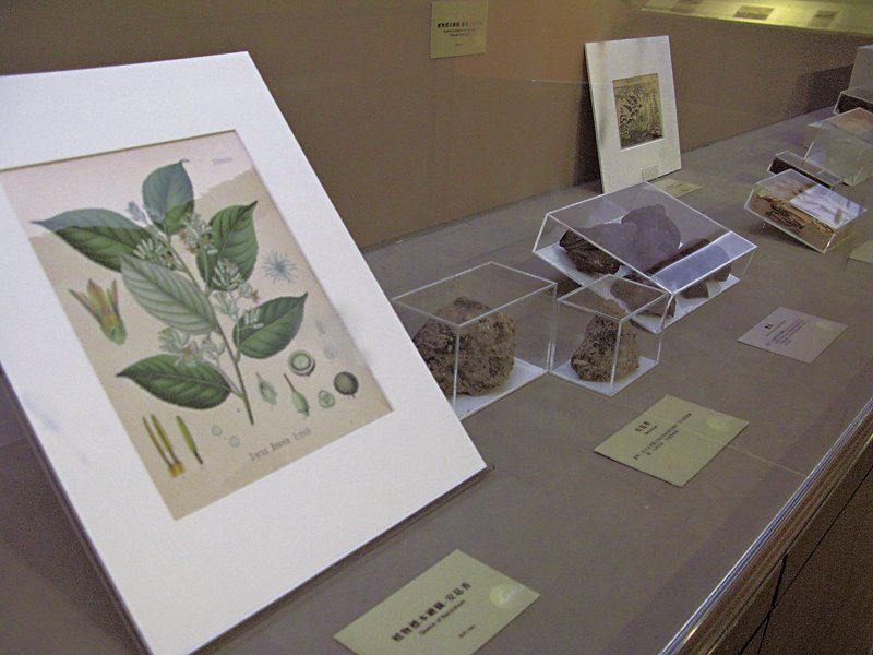 好多Paper，遇見日本書──央圖臺灣分館「纖纖遇紙─手工紙張特展」 7