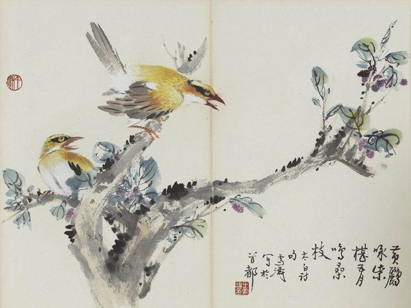 王雪濤〈花鳥冊頁〉11開，設色紙本，41.5×55厘米。圖為其中一開。