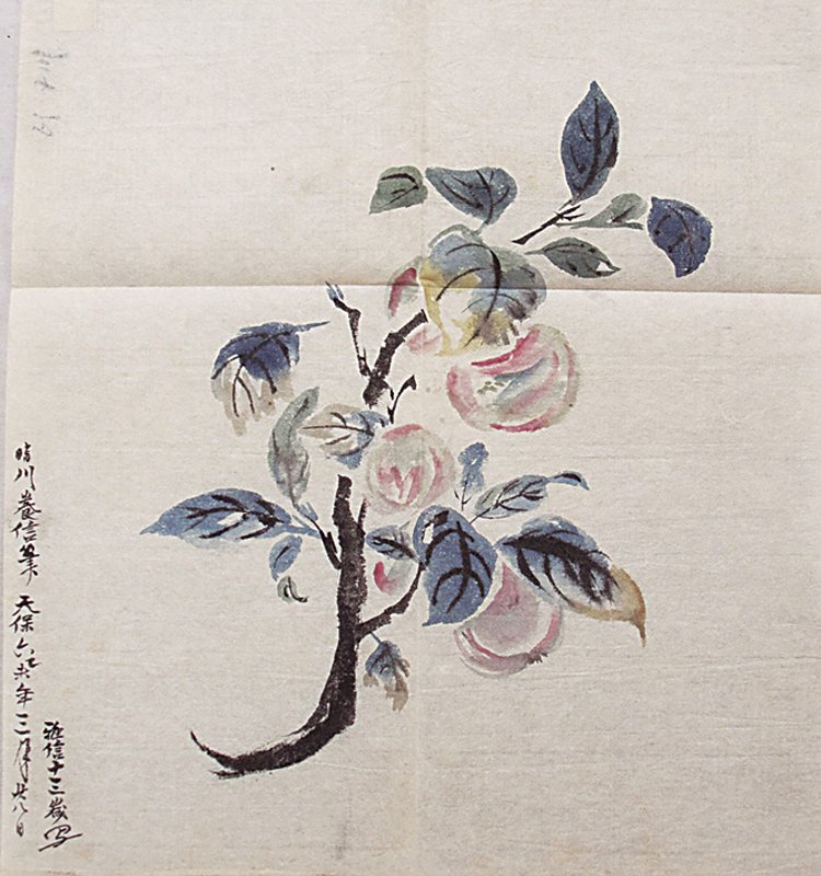 13世紀南宋李迪〈林檎圖〉,私人藏。