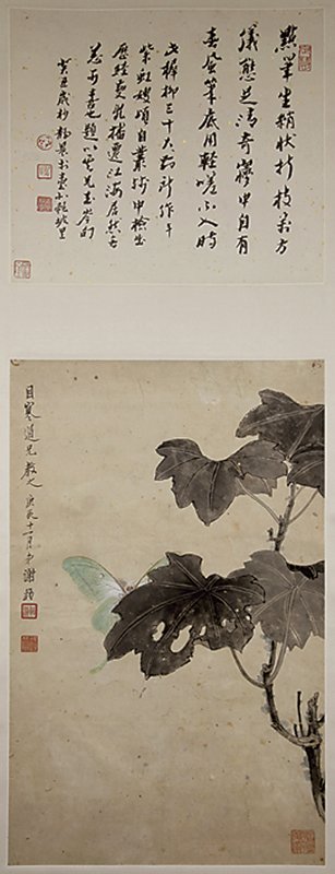 謝稚柳〈芙蓉蛺蝶圖〉。