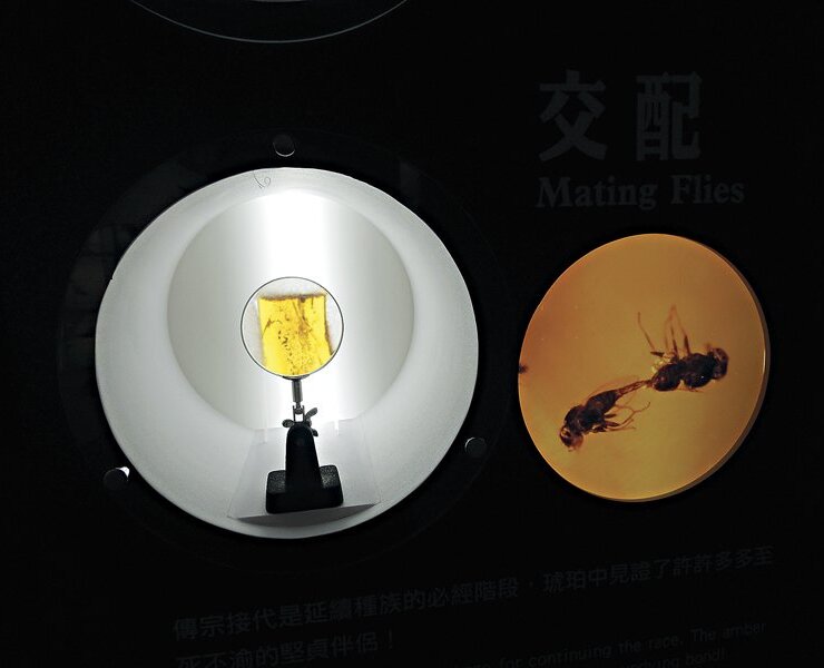 情到濃處的一對小蟲子。凝結於琥珀中的歡樂，宛如《失樂園》中黑木瞳與役所廣司最終的美。