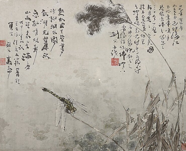 高劍父〈蜻蜓蘆葦斗方〉。