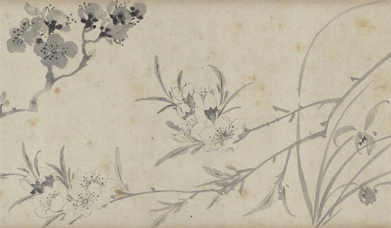 明陳樾〈寫生花卉〉卷，14.4×114.1公分，國立故宮博物院藏。圖為局部。