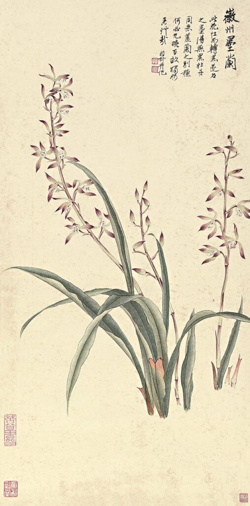 羲之堂：謝稚柳〈徽州墨蘭〉，69.5×34公分，曾為匡時2011秋拍編號138拍品。