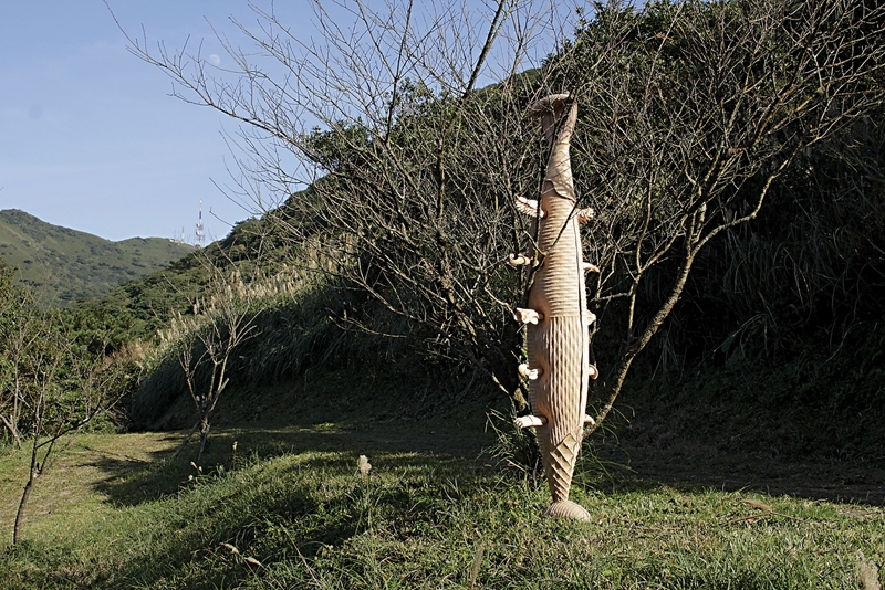 梁平正│繭Cocoon–A1 白櫸木 80x50x245cm 2014 大器國際藝術提供