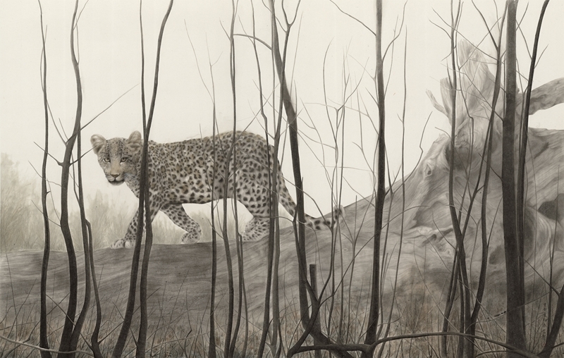 秦艾│林中記 設色紙本 86.5x136cm 2014