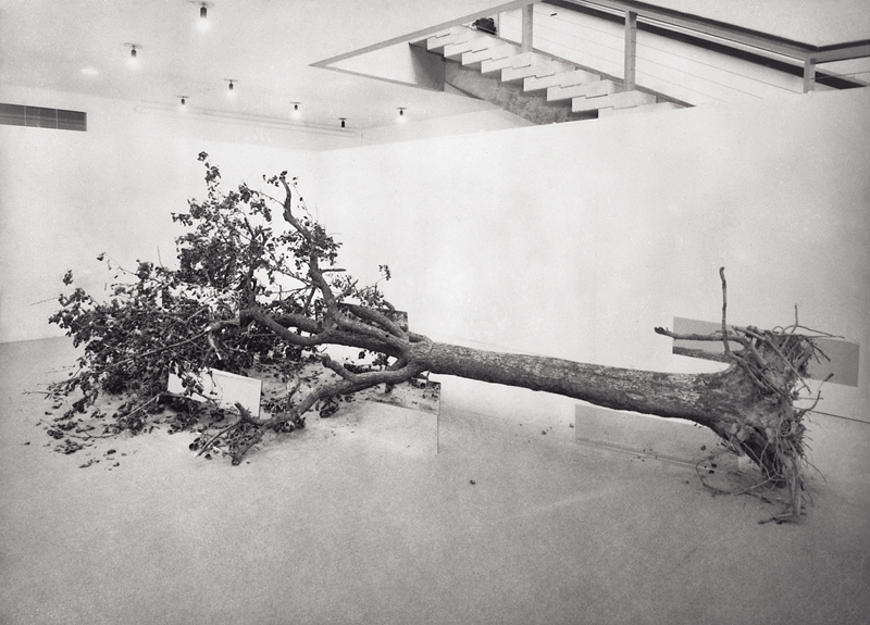 羅伯．史密森Robert Smithson｜死樹Dead Tree