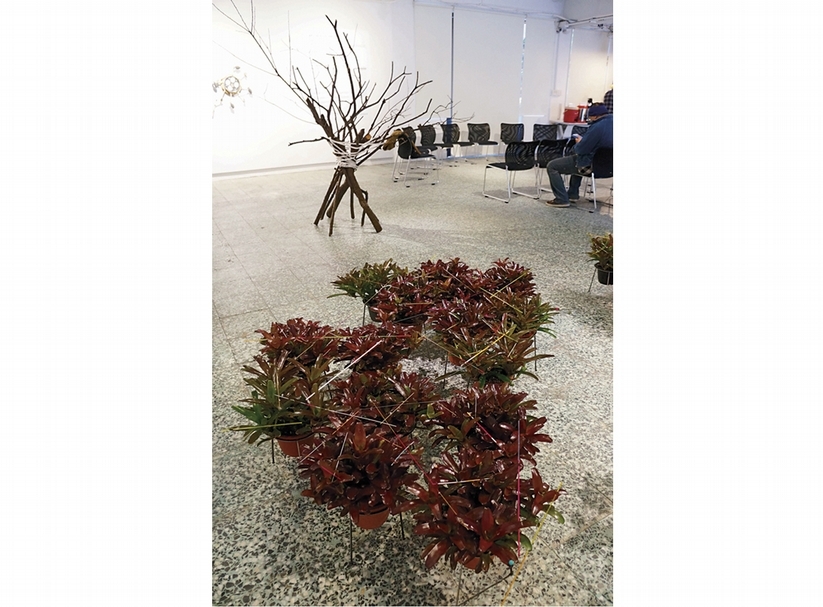 劉文瑄作品《盆景》。（攝影／林怡秀）