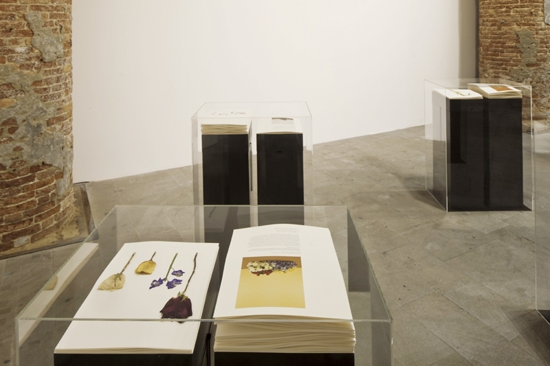 藝術家西蒙（Taryn Simon）對於各種資本流竄的裝置筆記。Photo by Alessandra Chemollo. Courtesy by la Biennale di Venezia