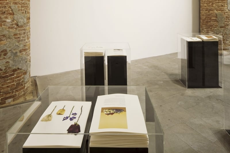 藝術家西蒙(Taryn Simon)對於各種資本流竄的裝置筆記。Photo by Alessandra Chemollo. Courtesy by la Biennale di Venezia