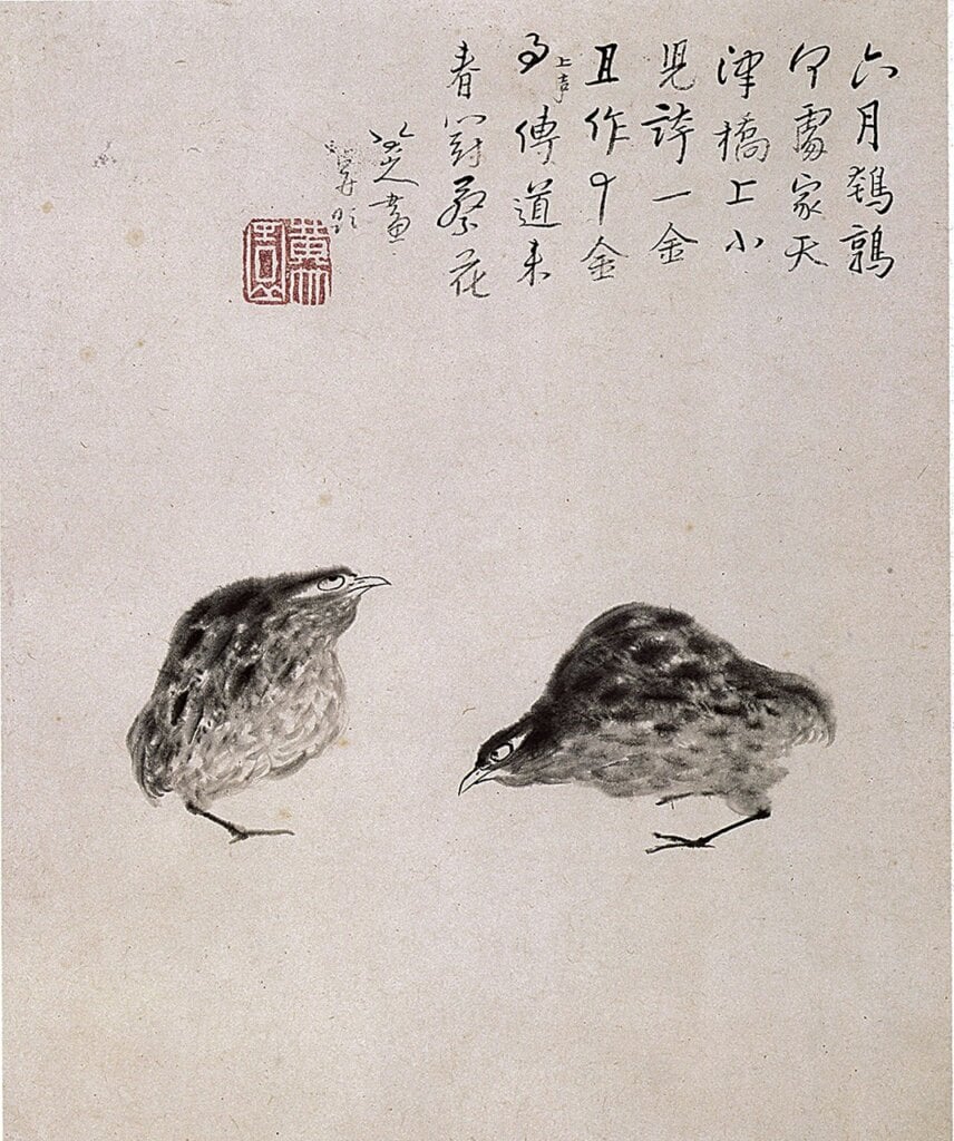 八大山人1694年作〈雙鵪鶉圖〉，為〈安晚冊〉之一，日本泉屋博古館藏。