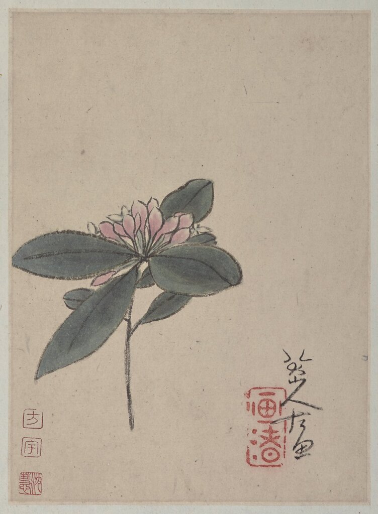 八大山人約1690年作〈丁香花圖并行草題跋〉，兩頁之一，水墨設色紙本冊頁，弗利爾美術館藏。
