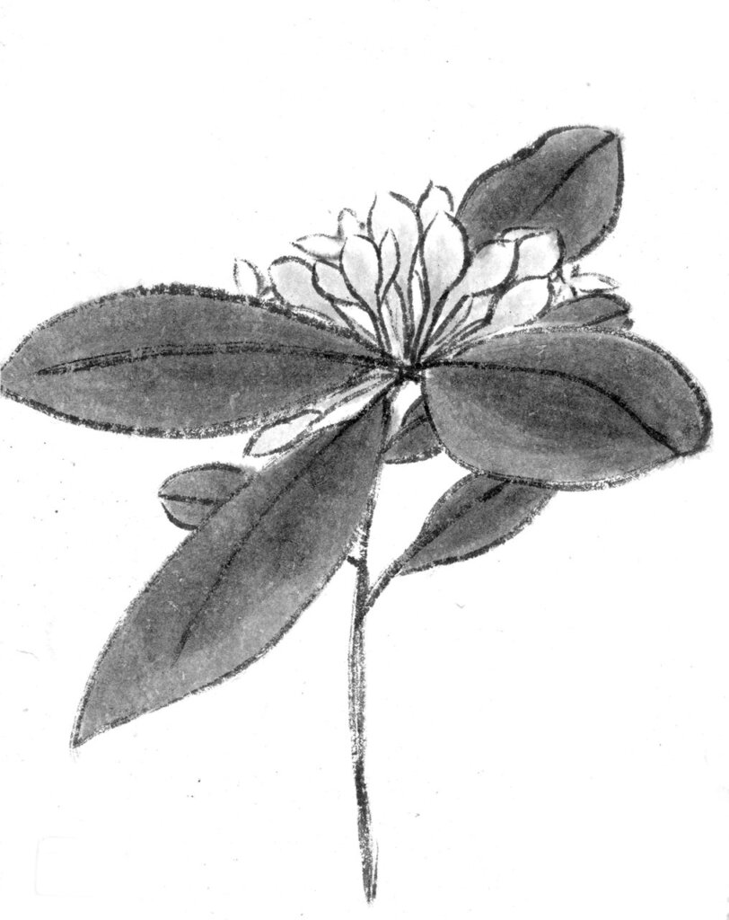 幽微─八大山人的藝術（Enigmas：The Art of Bada Shanren，1626～1705）