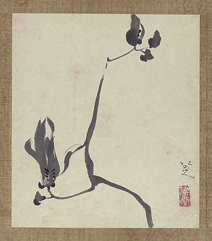 〈玉蘭〉，出自八大山人〈安晚冊〉。