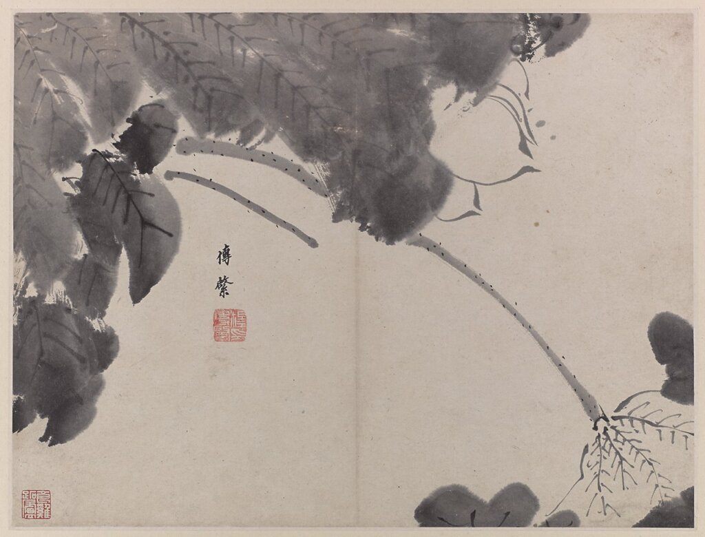 八大山人約1665年作〈荷花圖〉，八頁之一，水墨紙本冊頁，弗利爾美術館藏。