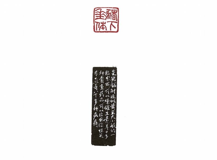 方去疾〈豬下垂體〉，2.3×2.3公分。取自《養豬印譜》。