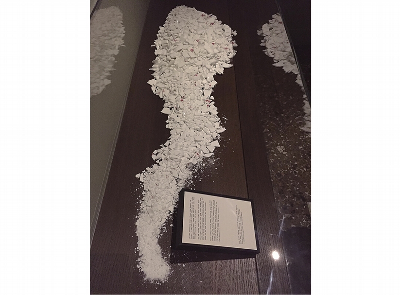 阿蘭收藏今年威尼斯雙年展，於印度和巴基斯坦館展出的藝術家古普塔（Shilpa Gupta）作品。