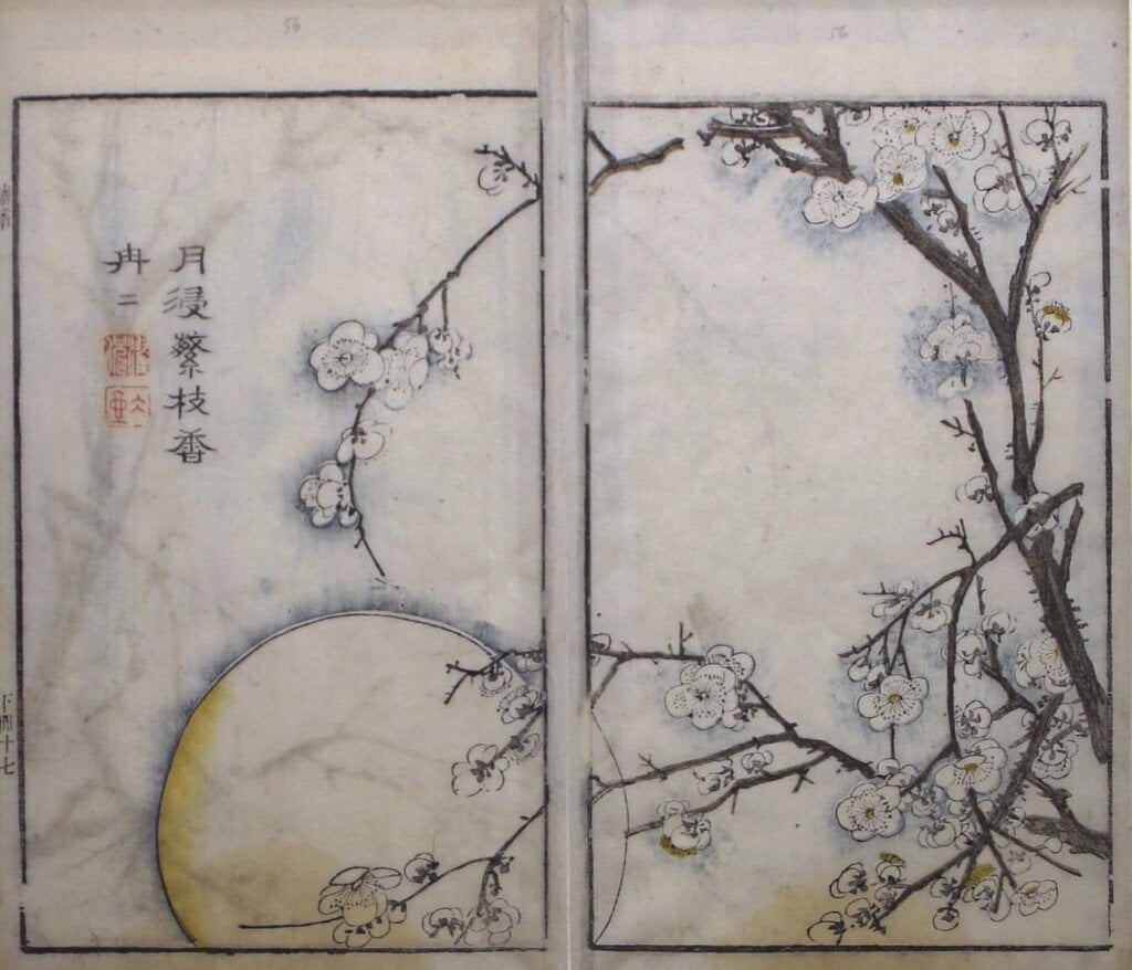 《芥子園畫傳．二集》卷八下〈梅譜〉，第16／17頁「月浸繁枝香冉冉」，柏林國家博物館亞洲藝術館藏。