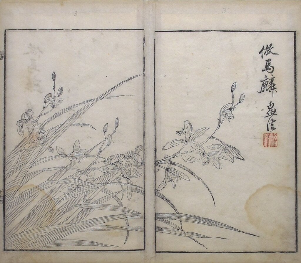 《芥子園畫傳．二集》卷六下〈蘭譜〉，第三／四頁「倣馬麟畫法」，柏林國家博物館亞洲藝術館藏。