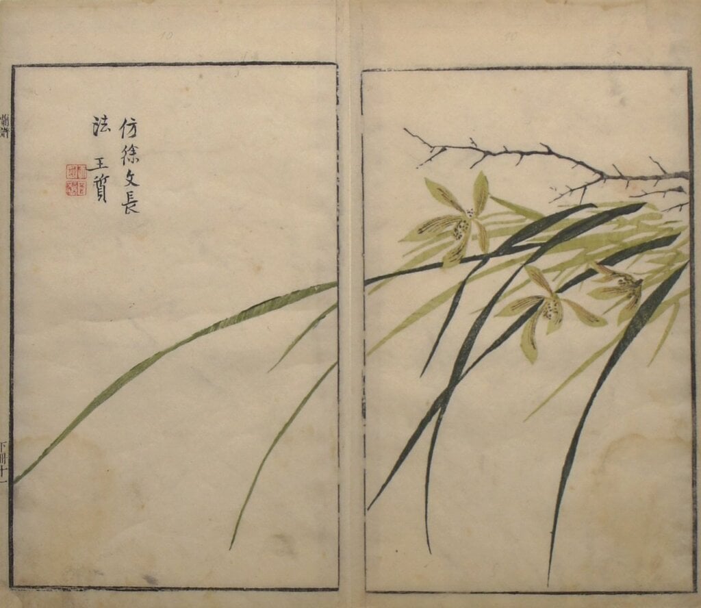 《芥子園畫傳．二集》卷六下〈蘭譜〉，第十／十一頁「仿徐文長法」，柏林國家博物館亞洲藝術館藏。