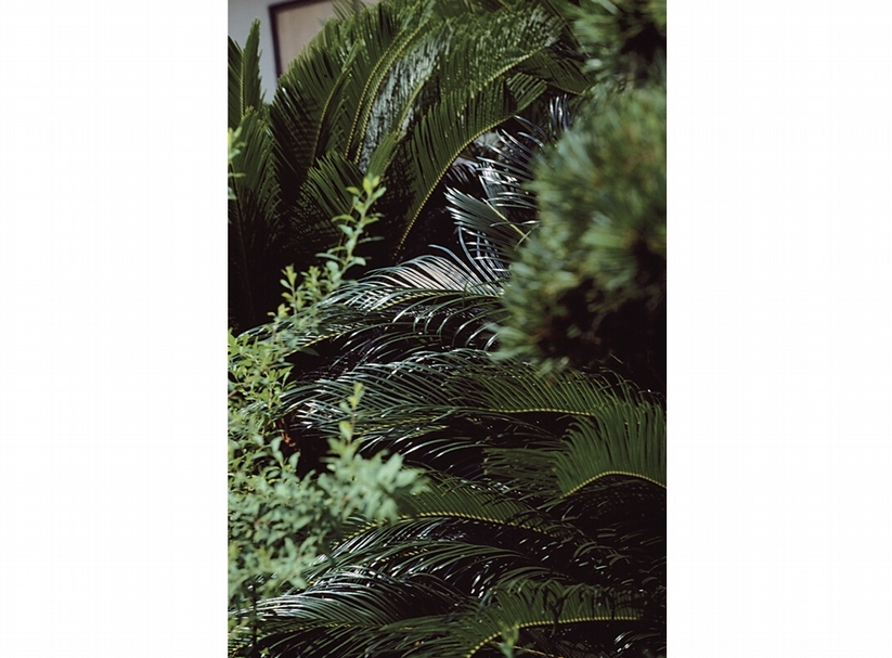 中平卓馬《Untitled》.2005。From the series, Why an Illustrated Yokohama Dictionary。© Takuma Nakahira courtesy of Osiris