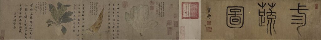 元錢選〈三蔬圖〉卷，圖為局部。