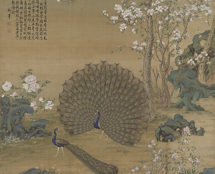 清郎世寧〈畫孔雀開屏〉軸，國立故宮博物院藏。