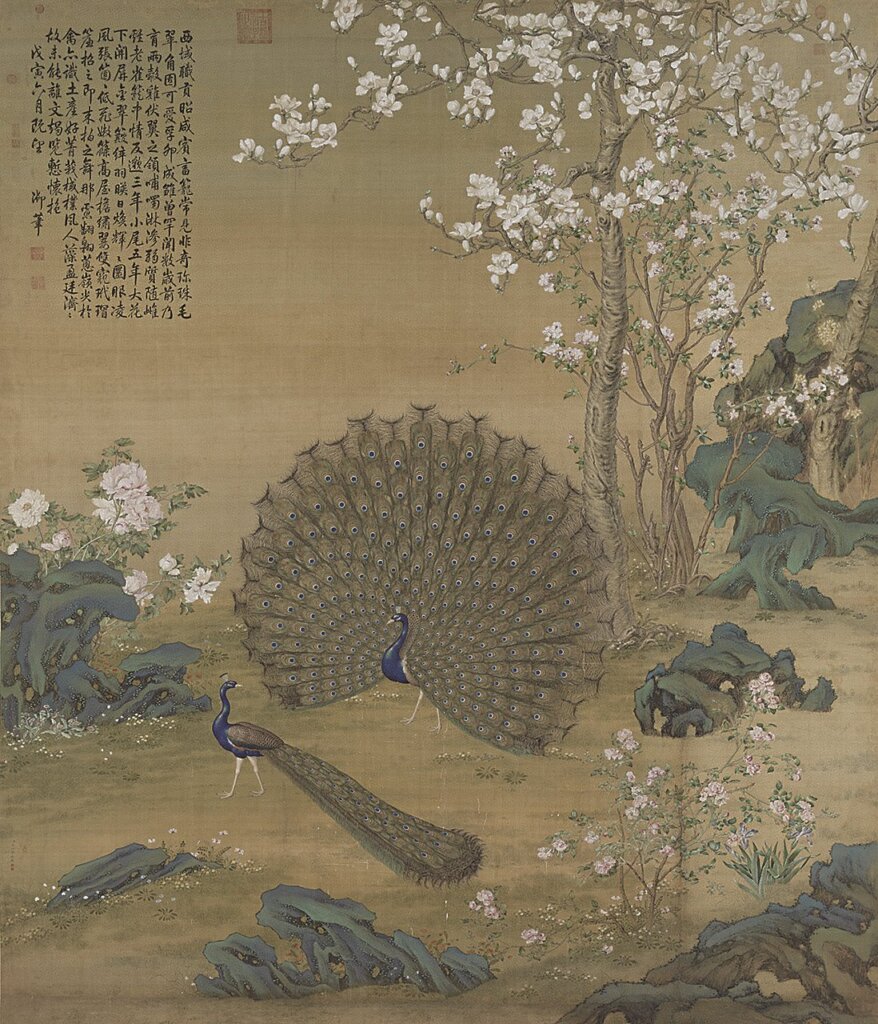 清郎世寧〈畫孔雀開屏〉軸，國立故宮博物院藏。
