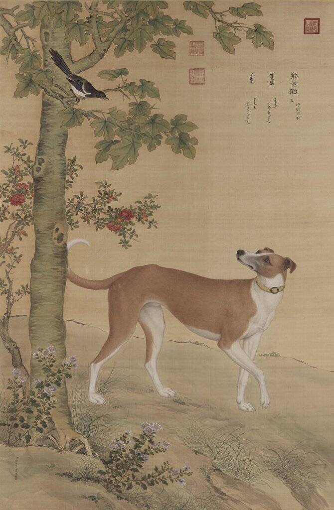 清郎世寧〈畫十駿犬茹黃豹〉軸，國立故宮博物院藏。
