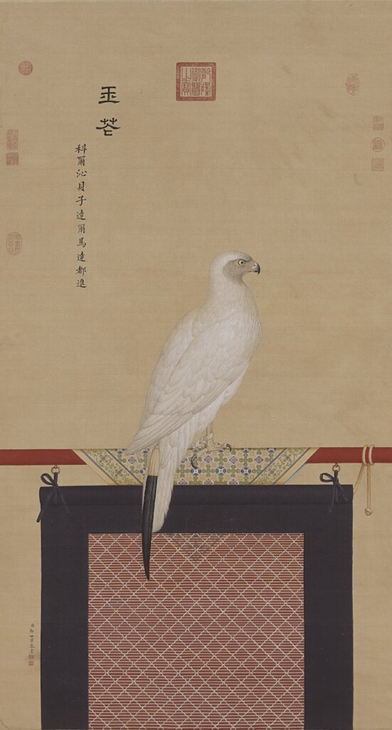 清郎世寧〈畫玉鷹〉軸，國立故宮博物院藏。