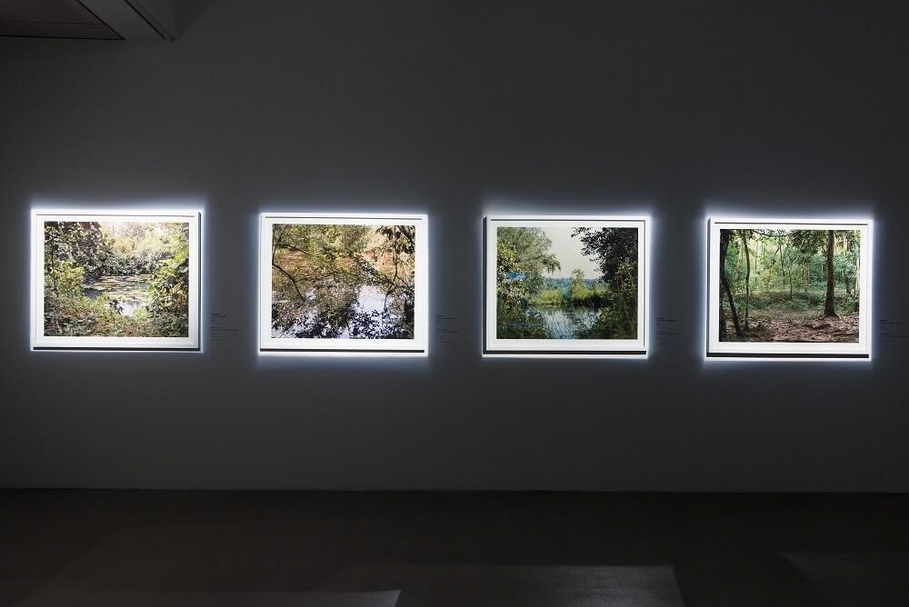 萬迪拉塔納│彈坑水塘系列 2009 數碼列印，9件，每件91 x 111cm